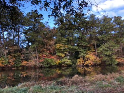 A serene river scene surrounded by trees displaying autumn colors under a clear blue sky.