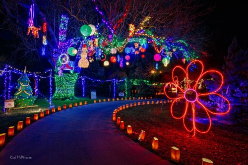 A festive pathway illuminated with colorful holiday lights and decorations, including a large flower and a decorated tree.