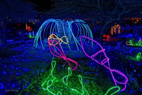 Colorful light displays of fish and water features illuminate a dark garden at night.