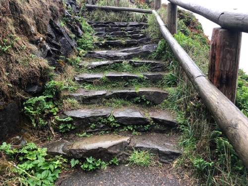 Stone steps leading up a grassy path, bordered by a wooden railing and surrounded by lush greenery.