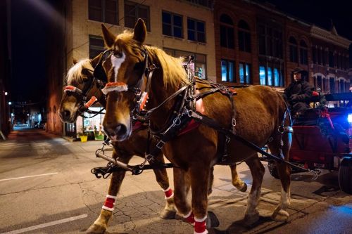Two horses in harness, adorned with festive decorations, stand in a city street at night, with a carriage behind them.