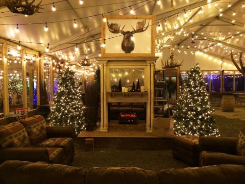 Cozy indoor space with string lights, Christmas trees, and a fireplace, featuring rustic decor and a moose head on the wall.