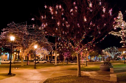 A park at night adorned with colorful holiday lights on trees and lampposts, creating a festive atmosphere.