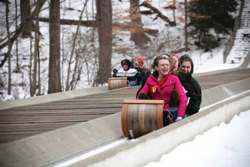 A group of people enjoying a winter ride on a toboggan track, surrounded by snow-covered trees.