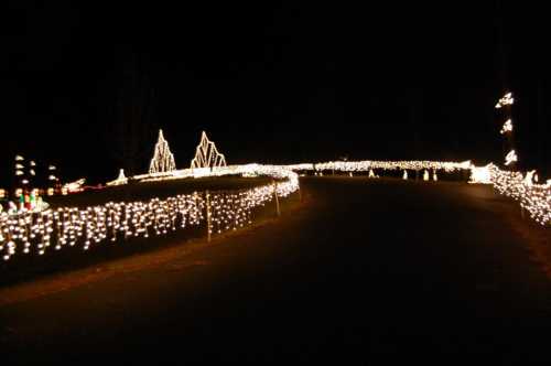 A winding path illuminated by festive white lights, creating a magical atmosphere at night.