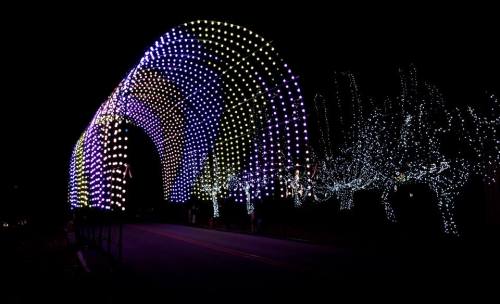 A colorful archway of lights illuminates a dark road, surrounded by twinkling trees.