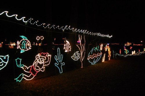 Colorful holiday lights depicting underwater scenes with fish, coral, and a mermaid against a dark night sky.