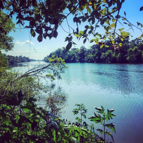 A serene river scene framed by lush greenery under a clear blue sky.