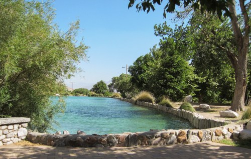 A serene pond surrounded by lush greenery and trees, with a stone pathway along the water's edge.