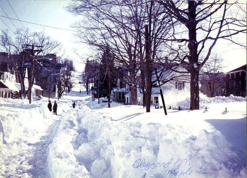 A snowy street scene from the 1978 blizzard, with people walking through deep snow and lined trees.