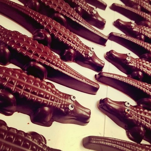 A row of chocolate alligators with googly eyes, arranged neatly on a white surface.