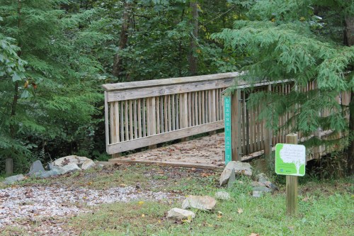 A wooden bridge leads into a wooded area, with a sign nearby and greenery surrounding the path.