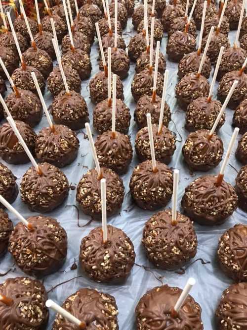 A close-up of numerous chocolate-covered caramel apples with wooden sticks, sprinkled with nuts on a tray.