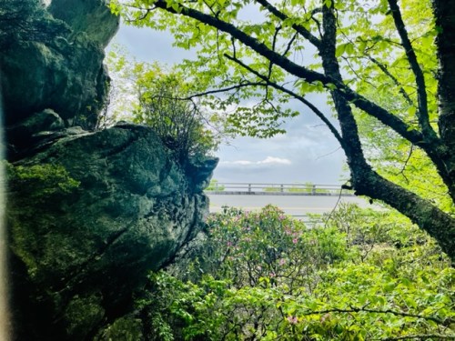 A scenic view of lush greenery and rocks, with a road visible in the background under a cloudy sky.