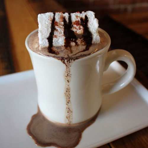 A white mug filled with hot chocolate, topped with a marshmallow and drizzled with chocolate syrup, sitting on a plate.