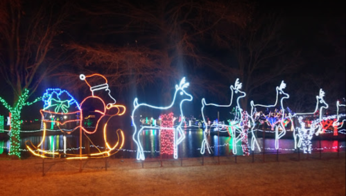 Colorful Christmas lights depicting Santa in a sleigh with reindeer, set against a dark night sky.