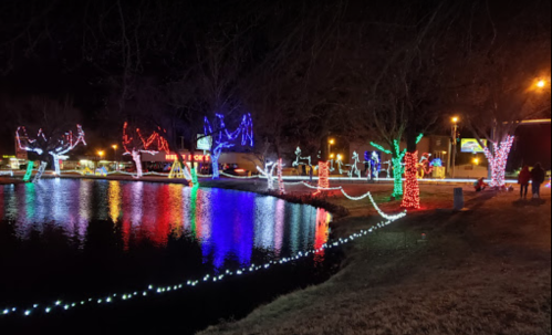 Colorful holiday lights illuminate trees and a pond at night, creating a festive atmosphere in a park.