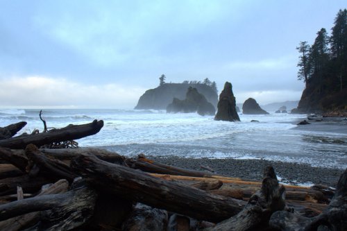 A misty coastal scene with rocky formations, driftwood on the shore, and waves crashing against the beach.