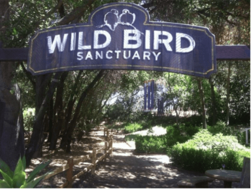 Sign for "Wild Bird Sanctuary" surrounded by trees and a pathway leading into the sanctuary.