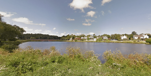 A serene lake surrounded by greenery and houses under a clear blue sky with fluffy clouds.