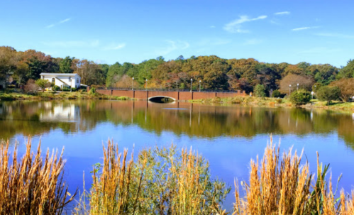 A serene lake surrounded by trees and grasses, with a bridge and a white building in the background under a clear blue sky.