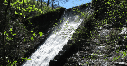 A cascading waterfall flows over a stone structure, surrounded by lush green foliage and a clear blue sky.