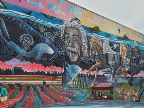 Colorful mural featuring a whimsical depiction of Einstein, horses, jellyfish, and vibrant landscapes.