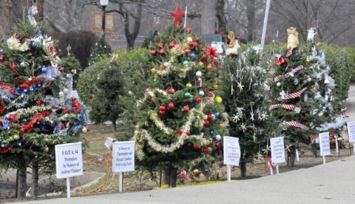 A row of decorated Christmas trees with colorful ornaments and signs in a park setting.