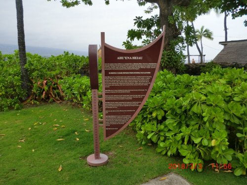 A brown informational sign stands in a green park, surrounded by lush foliage and palm trees.