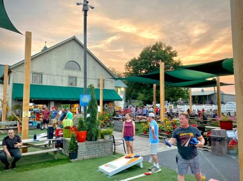 A lively outdoor gathering with people playing cornhole, surrounded by greenery and a sunset sky.