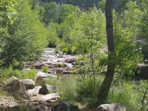 A serene river flows through a lush green landscape, surrounded by trees and rocky banks.