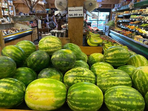 A display of watermelons for sale at a market, priced at $6.99 each, with other fruits visible in the background.