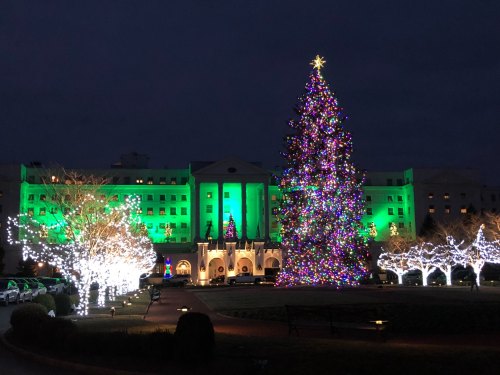 A brightly lit Christmas tree stands in front of a building adorned with green lights, surrounded by illuminated trees.