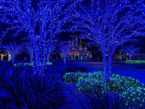 A nighttime scene with trees and bushes adorned in vibrant blue and green holiday lights, illuminating a distant castle.