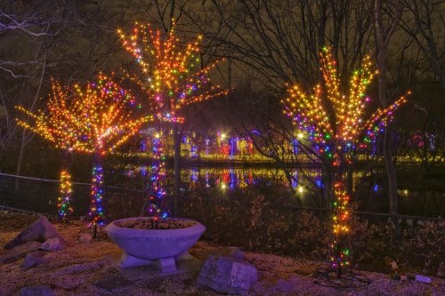 Colorful lights adorn trees by a pond, creating a festive atmosphere in a nighttime landscape.