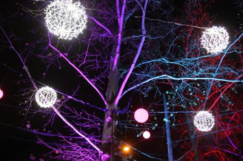 Colorful lights hang from a tree at night, creating a festive atmosphere with purple and pink hues.