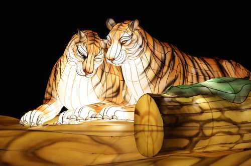 Two illuminated tiger sculptures sit closely together on a log, showcasing intricate details against a dark background.