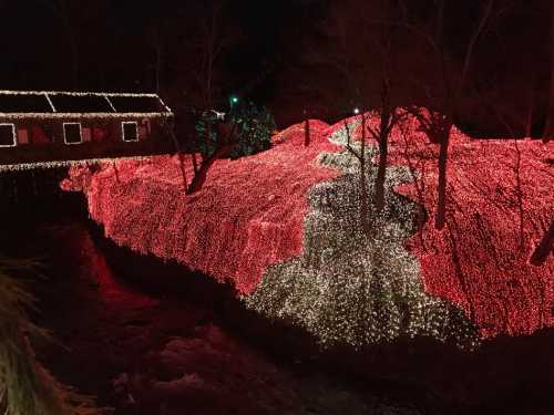 A hillside covered in vibrant red and white lights, with a small house illuminated in the background at night.