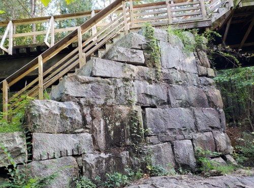 A stone wall covered in greenery, with wooden stairs leading above in a forested area.
