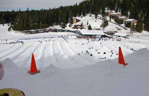 A snowy landscape with people tubing, surrounded by trees and buildings, featuring orange cones marking the area.