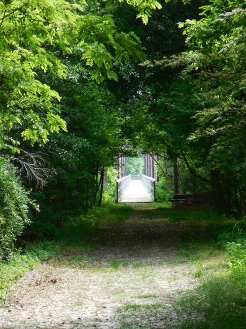 A serene pathway through lush greenery leading to a bridge in the distance.