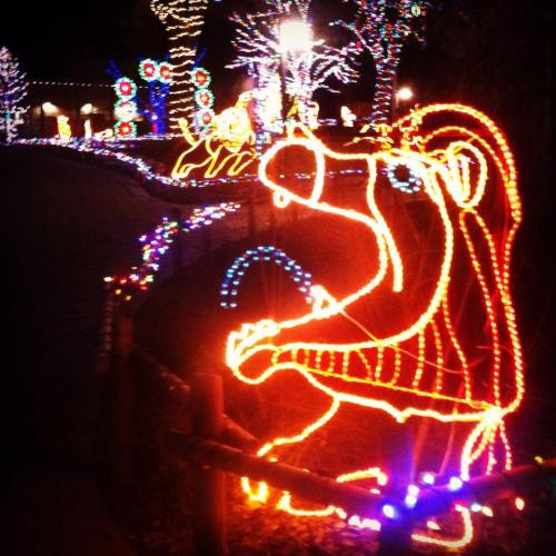 A brightly lit bear made of colorful lights, surrounded by festive decorations in a nighttime setting.