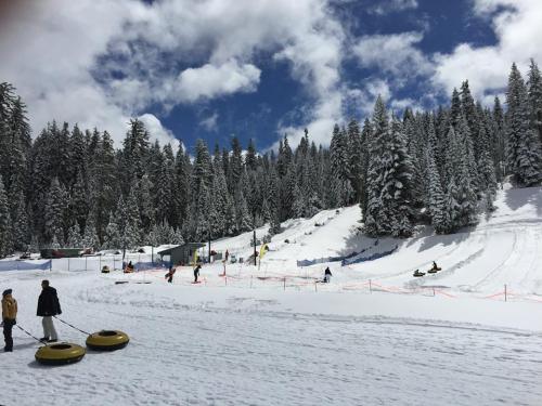 Snowy landscape with people tubing on a hill, surrounded by tall evergreen trees and a blue sky with clouds.