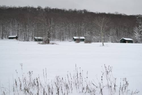 Snow-covered landscape with several small cabins nestled among trees in a winter setting.