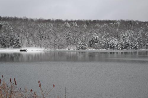 A serene winter landscape featuring a snowy forest reflected in a calm lake under a cloudy sky.