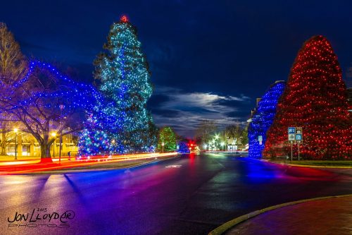 Colorful Christmas trees adorned with blue and red lights line a street, illuminated against a night sky.