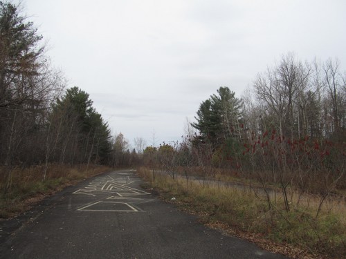 A deserted road lined with trees and overgrown vegetation under a cloudy sky.