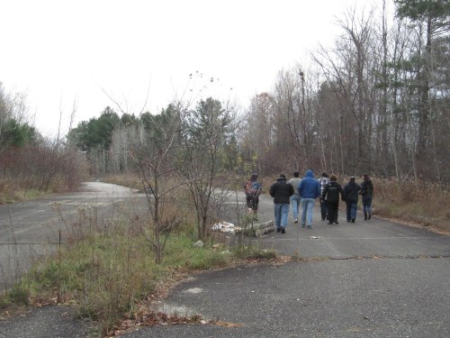 A group of people walking along a overgrown, abandoned road surrounded by trees and sparse vegetation.
