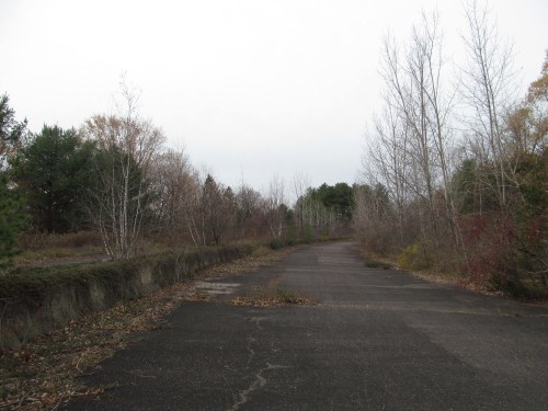 A deserted, overgrown road lined with bare trees and shrubs under a cloudy sky.