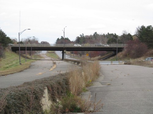 An abandoned road leading to an overpass, surrounded by overgrown grass and trees under a cloudy sky.
